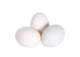 Egg White (Medium)