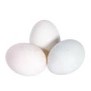 Chicken Eggs White Medium 30'S/Tray