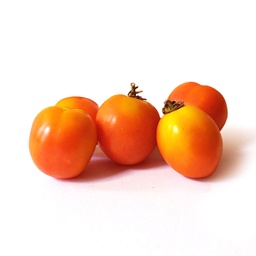 [1000000000152] Tomato Native