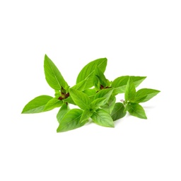 Basil