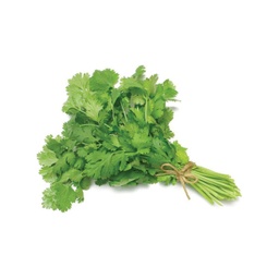 Coriander